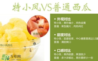 特小鳳西瓜多少錢一斤2017？特小鳳西瓜價格