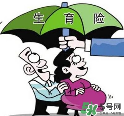 生育保險能報多少錢？生育保險報銷條件、流程