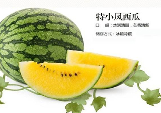 特小鳳西瓜是轉(zhuǎn)基因嗎？特小鳳西瓜是不是轉(zhuǎn)基因