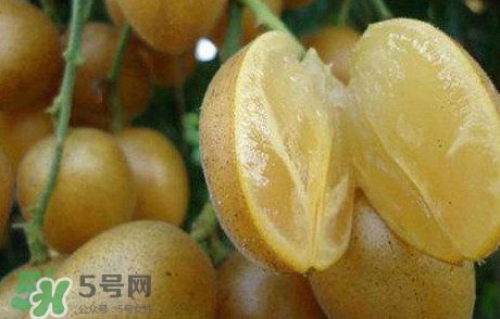 黃皮果多少錢一斤2017？黃皮果價(jià)格