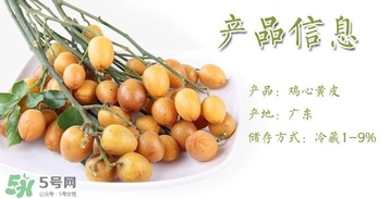 黃皮果什么時候成熟？黃皮果什么時候上市