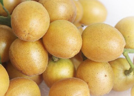 黃皮果有多少種顏色？黃皮果核有什么用處嗎