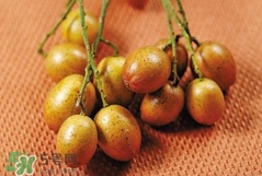 雞心黃皮多少錢一斤2017？雞心黃皮價格