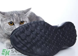 adidas alphabounce上腳怎么樣？阿迪達斯阿爾法小椰子測評