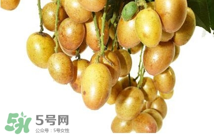 黃皮果什么時候成熟？黃皮果什么時候上市