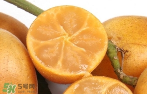 黃皮果怎么保存？黃皮果如何保存