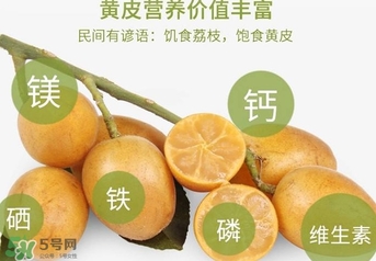 如何種植黃皮果？黃皮果怎么種植？