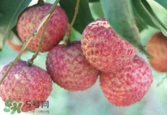 荔枝吃多了會怎么樣？荔枝上火怎么辦？