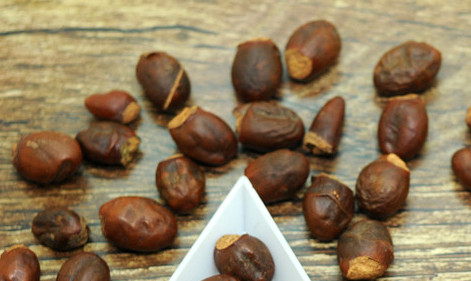 荔枝核能治糖尿病嗎？荔枝核可以降血糖嗎