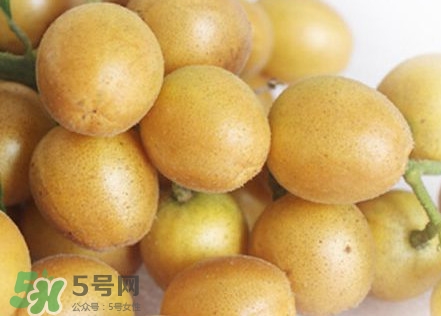 雞心黃皮幾年才掛果？雞心黃皮如何種植管理