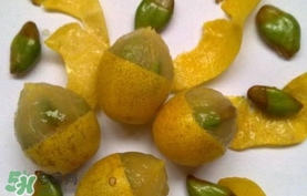 黃皮果多少錢一斤2017？黃皮果價(jià)格