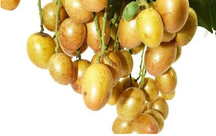 黃皮果有多少種顏色？黃皮果核有什么用處嗎