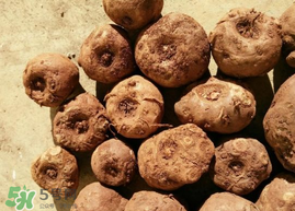 魔芋可以放冰箱嗎？魔芋能放冰箱冷藏嗎？