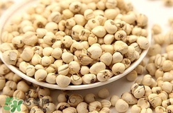 川貝母和川貝一樣嗎？川貝母與川貝的區(qū)別