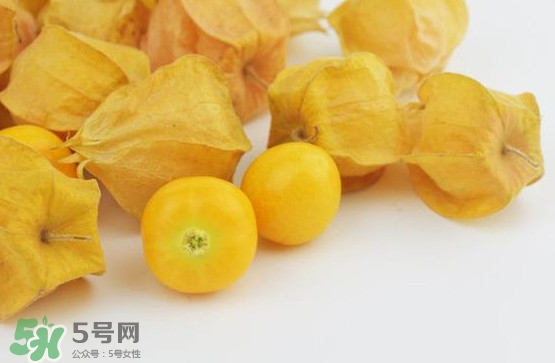 姑娘果是寒性嗎？姑娘果是涼性還是熱性？