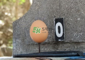 夏至雞蛋為什么立著？夏至是不是有吃雞蛋這個說法？