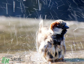 六月份雨水多嗎？2017年6月份雨水多嗎？