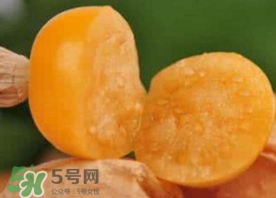 姑娘果是寒性嗎？姑娘果是涼性還是熱性？