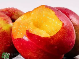 油桃怎么保存不會變軟？油桃怎么保存時間長？