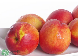 吃油桃會拉肚子嗎？拉肚子可以吃油桃嗎？