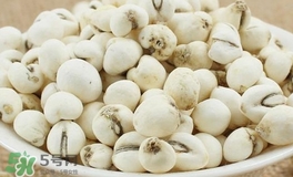 川貝母和川貝一樣嗎？川貝母與川貝的區(qū)別