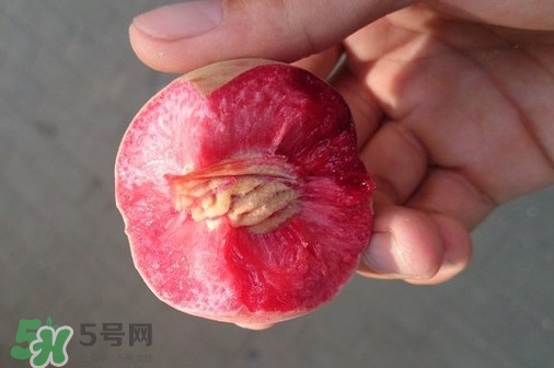 血桃產(chǎn)地在哪？血桃哪些地方產(chǎn)