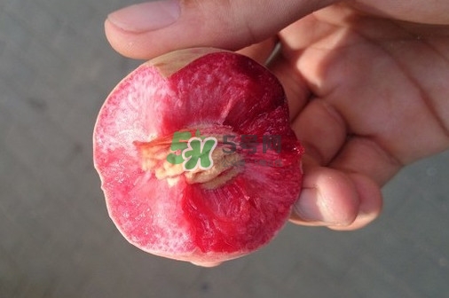 血桃多少錢(qián)一斤2017？血桃哪個(gè)品種最好吃