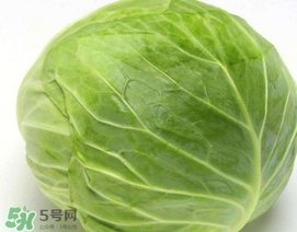 圓白菜是什么菜？圓白菜能生吃嗎？