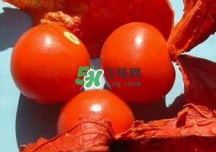 姑娘果是什么果？姑娘果怎么吃