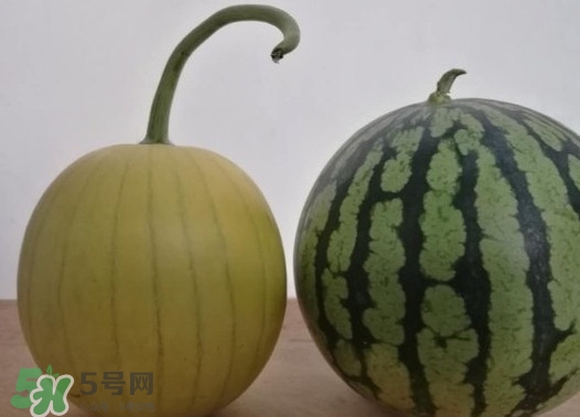 四色瓤西瓜是轉(zhuǎn)基因嗎？四色瓤西瓜是不是轉(zhuǎn)基因？