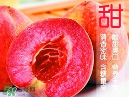 血桃?guī)自鲁墒?？血桃有什么營(yíng)養(yǎng)價(jià)值