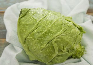 圓白菜是包菜嗎？圓白菜是大頭菜嗎？