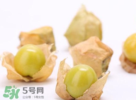 姑娘果什么時候成熟？姑娘果什么時候上市