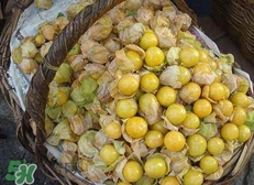 花姑娘水果怎么吃？花姑娘水果吃之前要洗嗎？