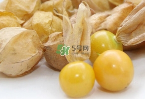 姑娘果多少錢一斤2017？姑娘果哪里有賣