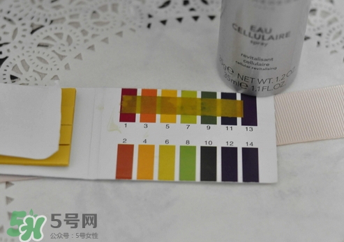 雅詩敦活顏補(bǔ)水噴霧怎么樣_好用嗎