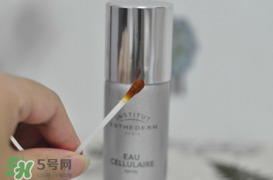 雅詩敦活顏補(bǔ)水噴霧怎么樣_好用嗎