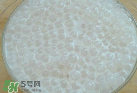 楊枝甘露是比喻什么？楊枝甘露是什么