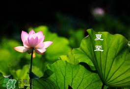 2017年夏至?xí)掠陠幔肯闹料掠暧惺裁凑f法？