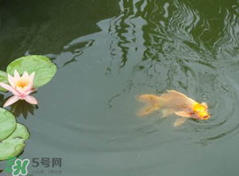 2017年夏至?xí)掠陠?？夏至下雨有什么說法？