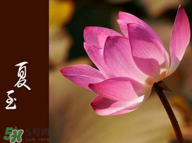 2017年夏至?xí)掠陠?？夏至下雨有什么說法？