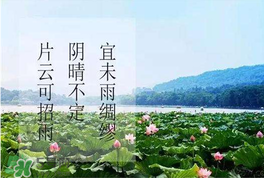 夏至是入伏嗎？夏至后多久入伏？