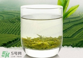 如何鑒別信陽(yáng)毛尖好壞？信陽(yáng)毛尖品鑒十步法