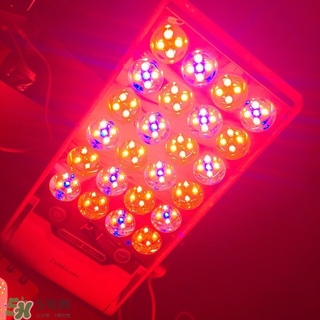 exideal小排燈多少錢？exideal小排燈價格