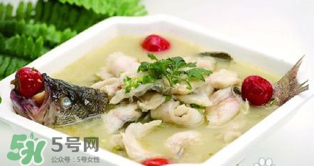 海鱸魚多少錢一斤2017？淡水鱸魚多少錢一斤？