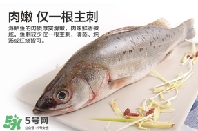 鱸魚是海鮮嗎？鱸魚是不是海鮮？