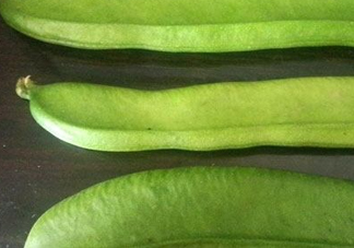 刀豆是四季豆嗎？刀豆和四季豆的區(qū)別