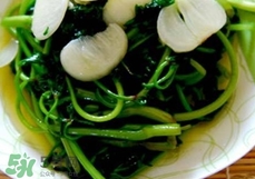 苕尖怎么保存_苕尖怎么保鮮_苕尖保存方法 苕尖怎么保存_苕尖怎么保鮮_苕尖保存方法