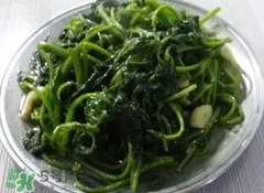 苕尖怎么保存_苕尖怎么保鮮_苕尖保存方法 苕尖怎么保存_苕尖怎么保鮮_苕尖保存方法