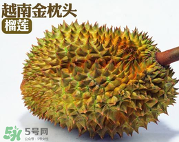 紅心榴蓮多少錢(qián)一斤？紅心榴蓮為什么這么貴？